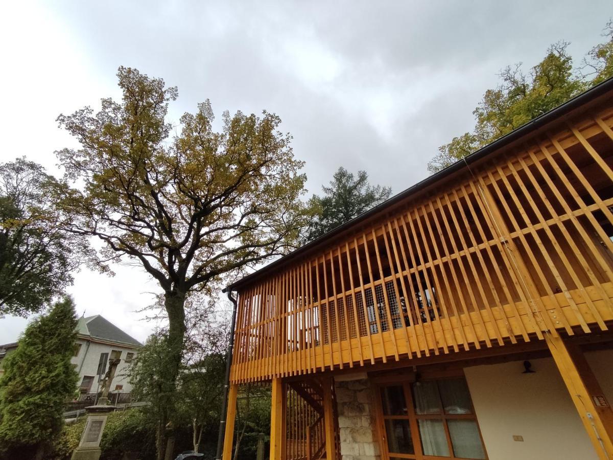 Ve Mlyne Apartment